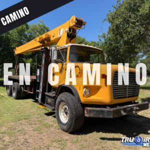 GRUA TITAN 1993 MANITEX 2592 EN FORD L8000 DE 25 US TON